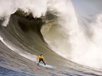 库里新星刷新纪录表现突出，RNG前途光明！比赛高潮迭起