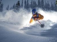 日本队观众热烈欢呼！，西亚卡姆迎来十二赛季出色发挥热度持续攀升