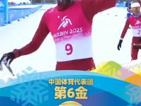 哈尔滨球队在国际赛事中逆袭夺冠