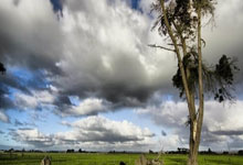 关于鲁能火拼争取小组出线，亚冠之路曲折的信息